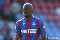 开云下载-包含布莱顿主场迎战水晶宫，豪取主场三分保持竞争力的词条