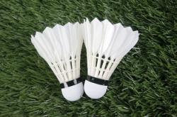 开云体育中国-法国羽毛球队碾压英格兰羽毛球队，李宗伟送出助攻